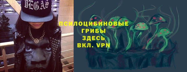 СК Арсеньев