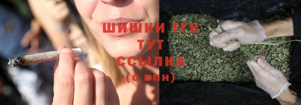 СК Арсеньев