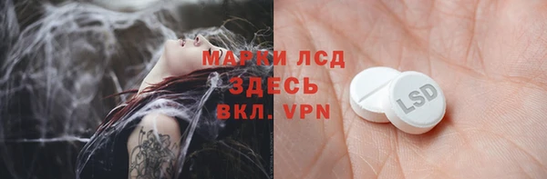 гидра Аркадак