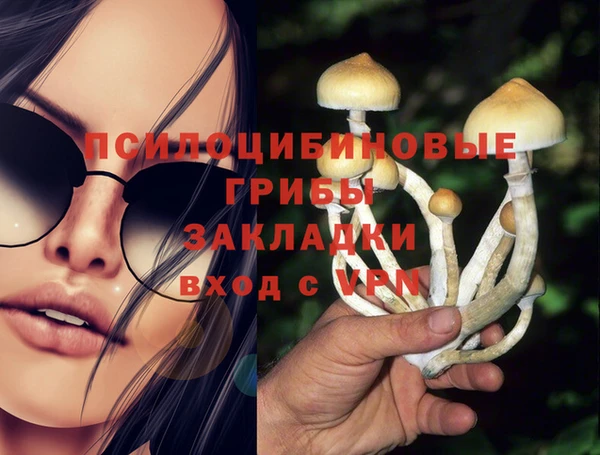 гидра Аркадак