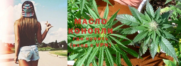 гидра Аркадак