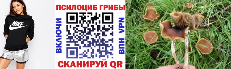 mega как войти  Бронницы  Псилоцибиновые грибы ЛСД 